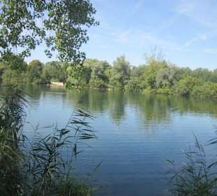 Am Rhein bei Germersheim