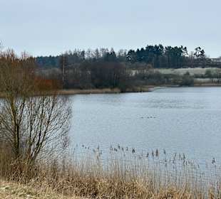 Wandern Schalkenmehren 