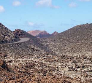 wo sind die Pflanzen hin?