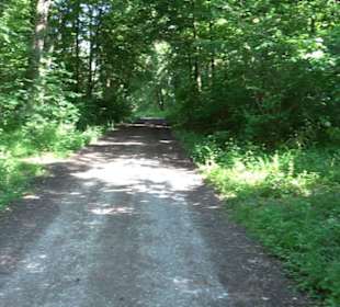 Eduard Lucas Musterobstgarten Mähringen