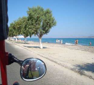 Foto im fahrenden Buggy..