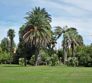 Impressionen aus dem Jardin des Plantes