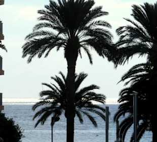 Blick von der Stadt auf die Promenade