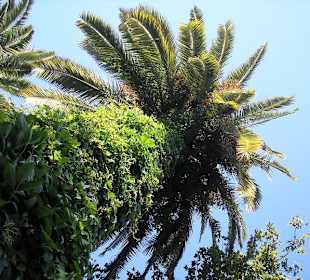 Excursión a Jerez