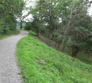 Naturschutzgebiet Zollerhalde Zimmern