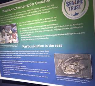  Lego X-Treme - Legoland Atlantis by SEA LIFE