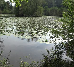 Schaichtalweg - Schlüsselsee