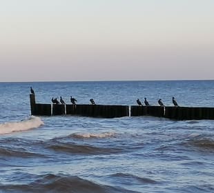 Strand Kolberg/Kolobrzeg