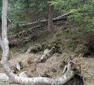 Berg Schneekoppe/Śnieżka