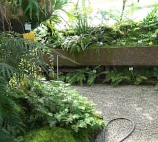 Gewächshäuser Botanischer Garten