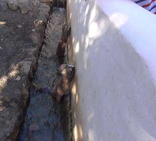 Guinitate Tropical Park