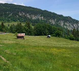 Entlang eines Wanderweges 