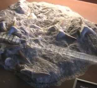 Naturhistorisches Museum