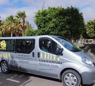 Tourbus für 8 Personen und Harry