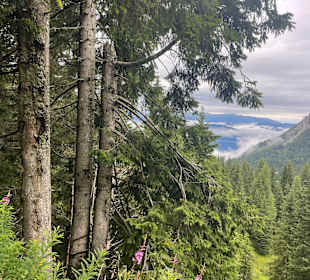 Wandern Hermagor - Pressegger See