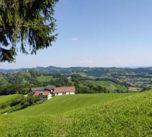 Wanderweg über Wiesen