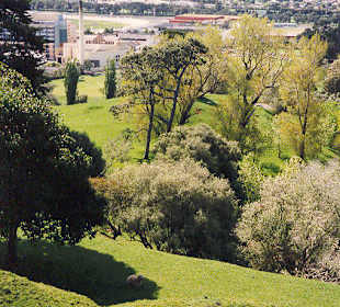 Auckland in Neuseeland