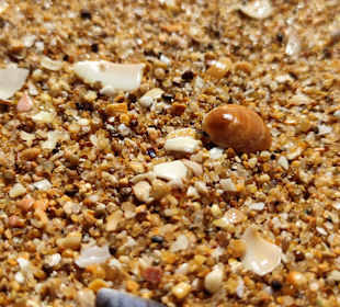 Praia de Nossa Senhora da Rocha