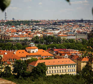 Krajobraz Pragi ze wzgórza Petrin