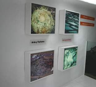 Das Museum