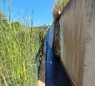 Naturschutzgebiet Grube Reden in Schiffweiler
