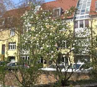 Rossmarkt