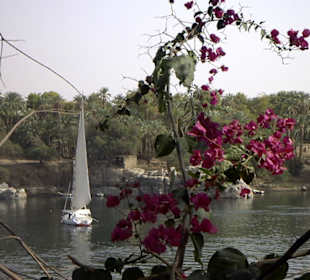 Traumhafter Ausblick