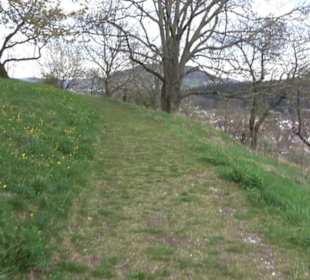 Der Grafenberg