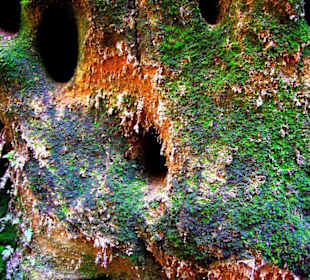 Wanderung zum Wasserfall