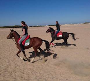 Freunde aus aller Welt treffen sich immer wieder