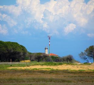 Naturschutzgebiet dei Pini