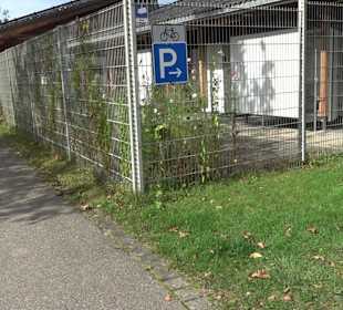Freibad Ried