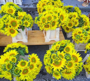 Rundgang über die Salzburger Schranne