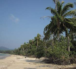 Coconut Beach