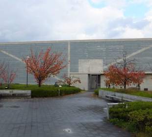 Główny blok muzeum.