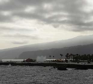 Wandern Puerto de la Cruz