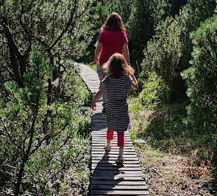 Georgenfelder Hochmoor