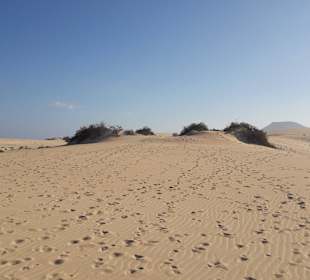 Wanderung durch die Dünen (1)