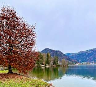 Wandern Walchsee