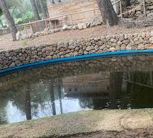 Der schöne idyllische Pool