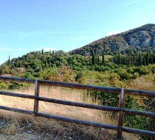 Schöner Blick außerhalb des Waldes