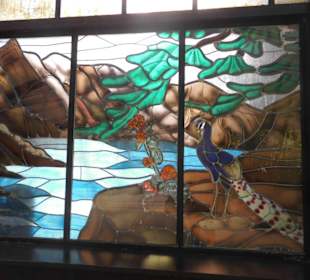 Weltvogelpark Walsrode