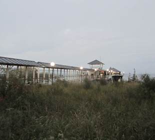 Seebrücke Heringsdorf