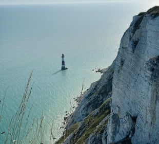 Ausblick