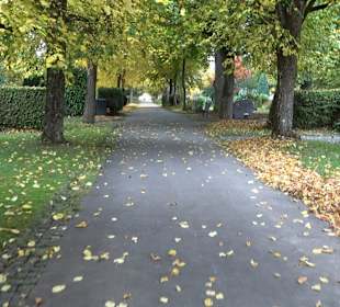 Hauptfriedhof Friedrichshafen
