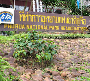 Phu Rua National Park