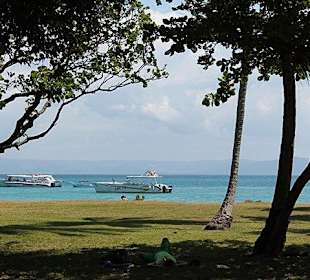 Bacardi Insel - Samána - Dominikanische Republik - DomRep Li