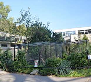 Zoo