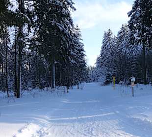 Wandern Neuhaus am Rennweg