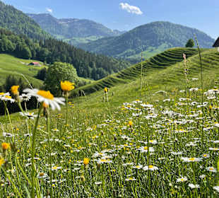 Wandern Oberstaufen